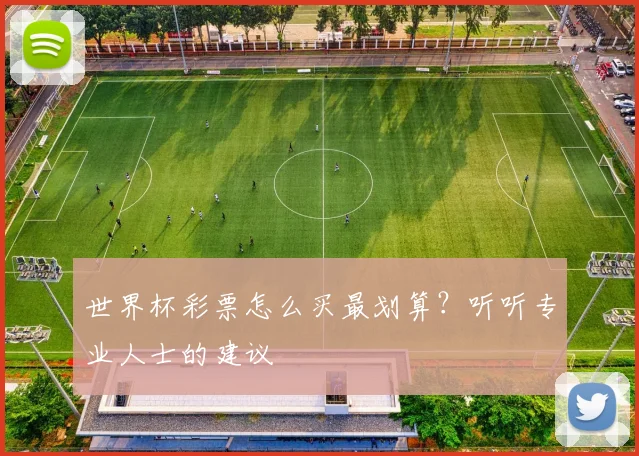 世界杯彩票怎么买最划算？听听专业人士的建议