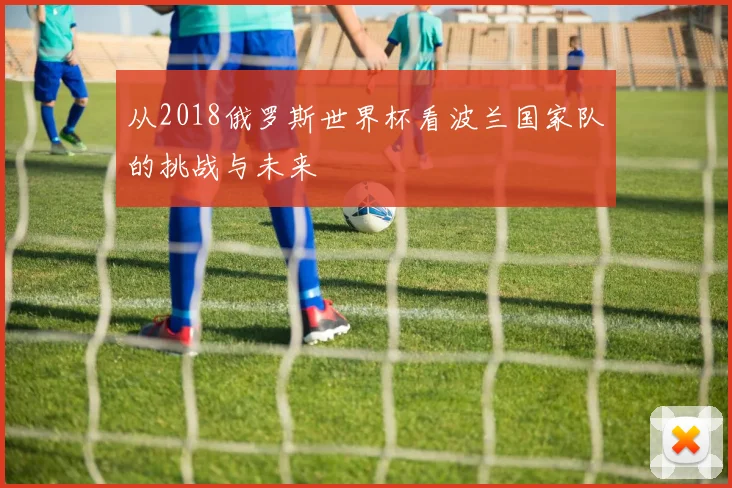 从2018俄罗斯世界杯看波兰国家队的挑战与未来