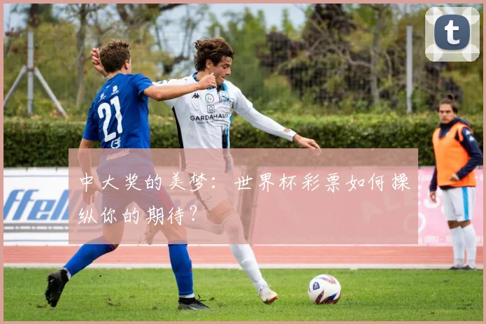中大奖的美梦：世界杯彩票如何操纵你的期待？